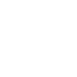 NewGround Logo