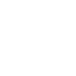 NewGround Stars